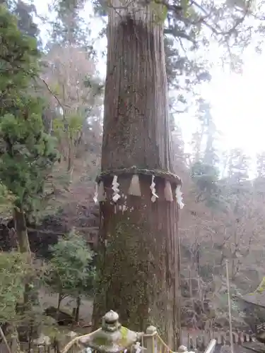 由岐神社の自然
