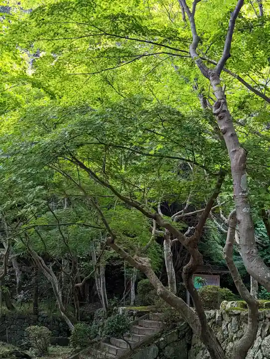 勝持寺(花の寺)(京都府)