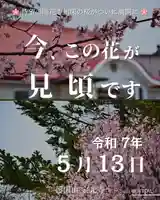 宝光寺(北海道)