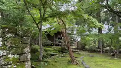 竹林寺(高知県)