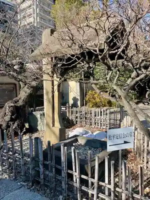 霊巌寺(東京都)
