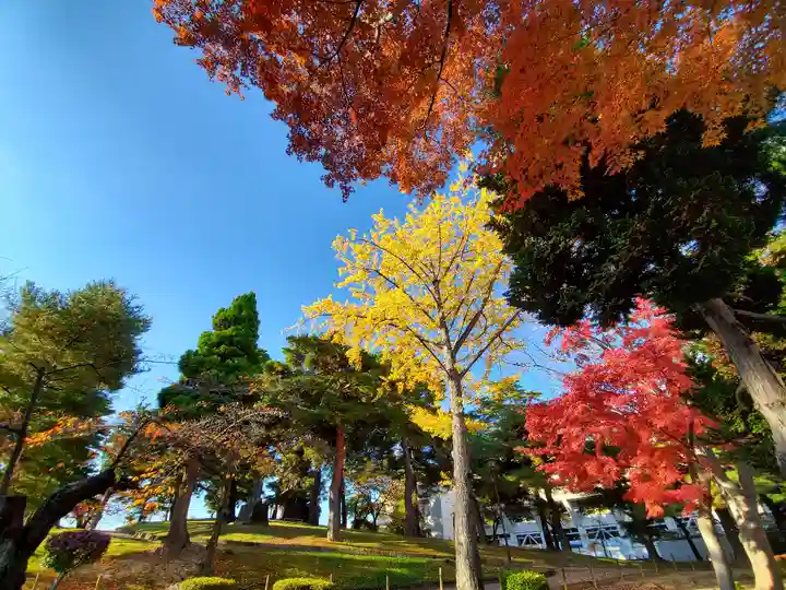 麓山神社の自然