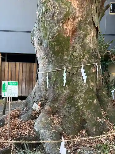 山名八幡宮(群馬県)