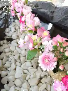 厚別神社(北海道)(2023年04月19日(水) 11時28分23秒投稿)