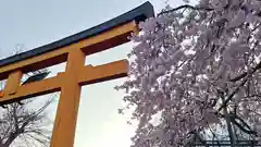 平野神社の自然