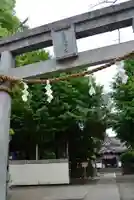 若宮八幡宮 (神奈川県)