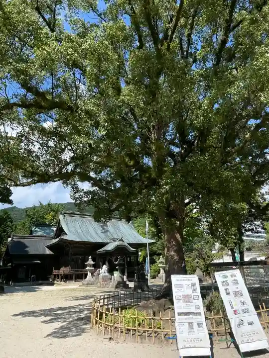 與止日女神社の{uncategorized: "未分類", other: "その他", undefined: "問題あり", building: "その他建物", grave: "お墓", sacred_gate: "鳥居", guardian: "狛犬", statue: "像", buddha: "仏像", history: "歴史", nature: "自然", garden: "庭園", animal: "動物", pagoda: "塔", temizu: "手水舎", mountain_gate: "山門・神門", sanctuary: "本殿・本堂", subordinate: "末社・摂社", art: "芸術", scenery: "景色", jizo: "地蔵", ema: "絵馬", goshuin: "御朱印", omikuji: "おみくじ", items: "授与品その他", amulet: "お守り", goshuincho: "御朱印帳", eats: "食事", festival: "お祭り", votive_dance: "神楽", shichigosan: "七五三参", wedding: "結婚式", experience: "体験その他", initially: "初詣", around: "周辺", anti_infection: "感染症対策"}