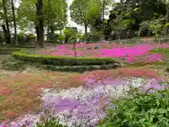 瀧宮神社(埼玉県)