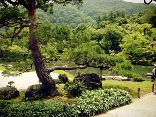 天龍寺の庭園