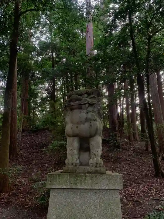 椿大神社の{uncategorized: "未分類", other: "その他", undefined: "問題あり", building: "その他建物", grave: "お墓", sacred_gate: "鳥居", guardian: "狛犬", statue: "像", buddha: "仏像", history: "歴史", nature: "自然", garden: "庭園", animal: "動物", pagoda: "塔", temizu: "手水舎", mountain_gate: "山門・神門", sanctuary: "本殿・本堂", subordinate: "末社・摂社", art: "芸術", scenery: "景色", jizo: "地蔵", ema: "絵馬", goshuin: "御朱印", omikuji: "おみくじ", items: "授与品その他", amulet: "お守り", goshuincho: "御朱印帳", eats: "食事", festival: "お祭り", votive_dance: "神楽", shichigosan: "七五三参", wedding: "結婚式", experience: "体験その他", initially: "初詣", around: "周辺", anti_infection: "感染症対策"}