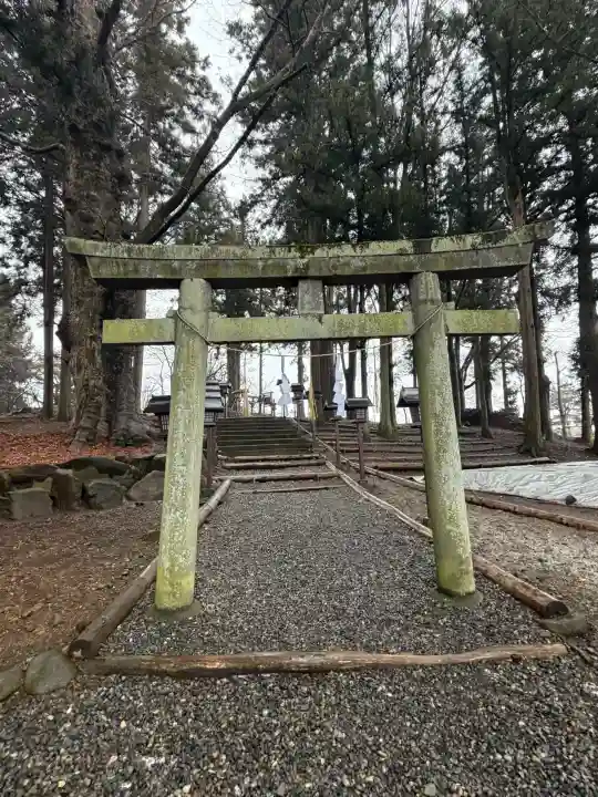秋宮恵比寿社の{uncategorized: "未分類", other: "その他", undefined: "問題あり", building: "その他建物", grave: "お墓", sacred_gate: "鳥居", guardian: "狛犬", statue: "像", buddha: "仏像", history: "歴史", nature: "自然", garden: "庭園", animal: "動物", pagoda: "塔", temizu: "手水舎", mountain_gate: "山門・神門", sanctuary: "本殿・本堂", subordinate: "末社・摂社", art: "芸術", scenery: "景色", jizo: "地蔵", ema: "絵馬", goshuin: "御朱印", omikuji: "おみくじ", items: "授与品その他", amulet: "お守り", goshuincho: "御朱印帳", eats: "食事", festival: "お祭り", votive_dance: "神楽", shichigosan: "七五三参", wedding: "結婚式", experience: "体験その他", initially: "初詣", around: "周辺", anti_infection: "感染症対策"}