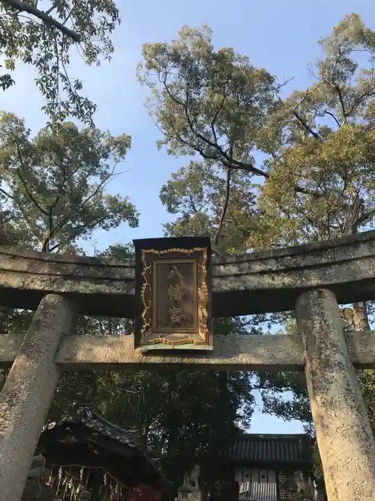 烏須井八幡神社の鳥居