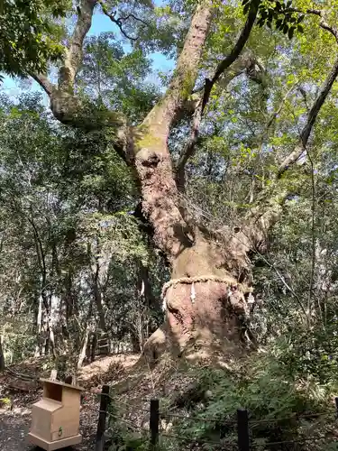 熱田神宮の自然