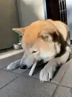 笠䅣稲荷神社(神奈川県)