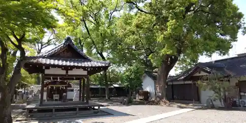（上桂）御霊神社(京都府)