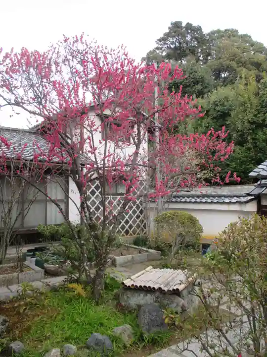 大法院(京都府)