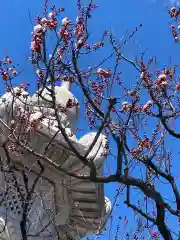 西野神社の建物その他