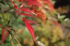 雲樹寺の自然