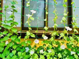 土津神社|こどもと出世の神さま(福島県)(2025年07月03日(木) 17時52分22秒投稿)