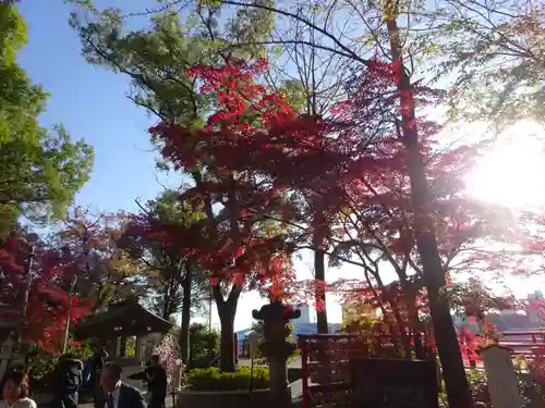 多摩川浅間神社の自然
