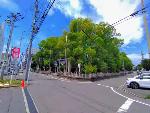 六所社（下飯田）の自然