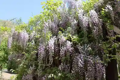 月寒神社(北海道)