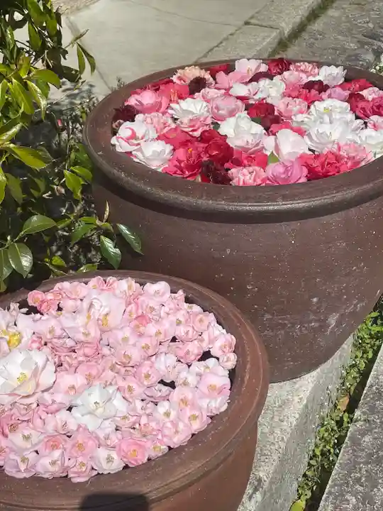 霊鑑寺門跡のその他建物