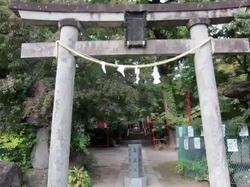 渋川八幡宮の鳥居