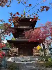 豪徳寺の建物その他