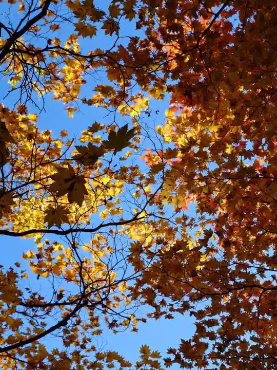 相馬神社(北海道)