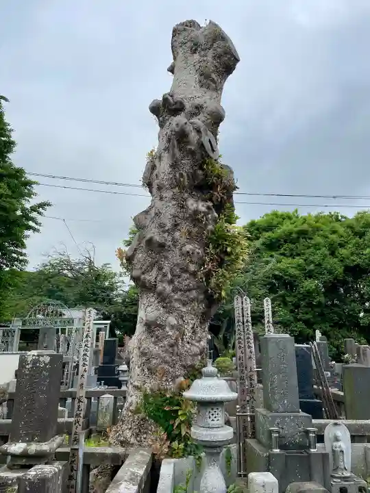 眞浄院(神奈川県)