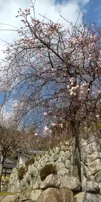 最乗院(滋賀県)