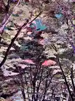 土津神社|こどもと出世の神さま(福島県)