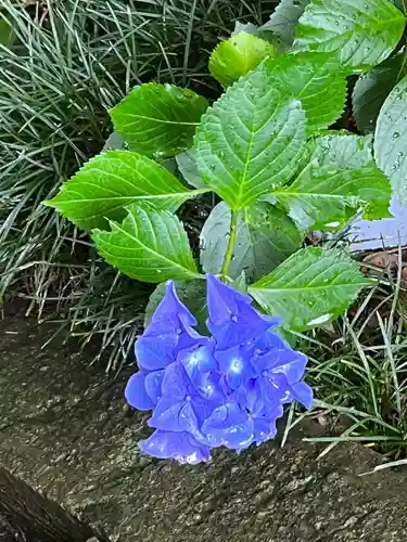 滑川神社 - 仕事と子どもの守り神の自然