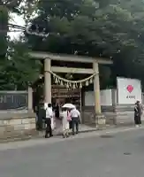 川越氷川神社(埼玉県)
