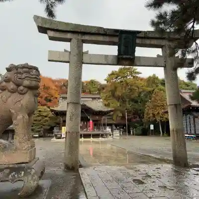 長浜八幡宮(滋賀県)