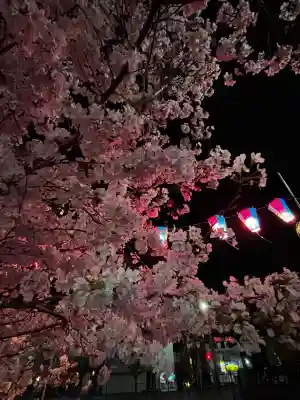 弘明寺の{uncategorized: "未分類", other: "その他", undefined: "問題あり", building: "その他建物", grave: "お墓", sacred_gate: "鳥居", guardian: "狛犬", statue: "像", buddha: "仏像", history: "歴史", nature: "自然", garden: "庭園", animal: "動物", pagoda: "塔", temizu: "手水舎", mountain_gate: "山門・神門", sanctuary: "本殿・本堂", subordinate: "末社・摂社", art: "芸術", scenery: "景色", jizo: "地蔵", ema: "絵馬", goshuin: "御朱印", omikuji: "おみくじ", items: "授与品その他", amulet: "お守り", goshuincho: "御朱印帳", eats: "食事", festival: "お祭り", votive_dance: "神楽", shichigosan: "七五三参", wedding: "結婚式", experience: "体験その他", initially: "初詣", around: "周辺", anti_infection: "感染症対策"}