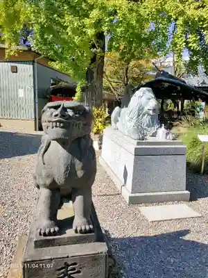 三囲神社の狛犬