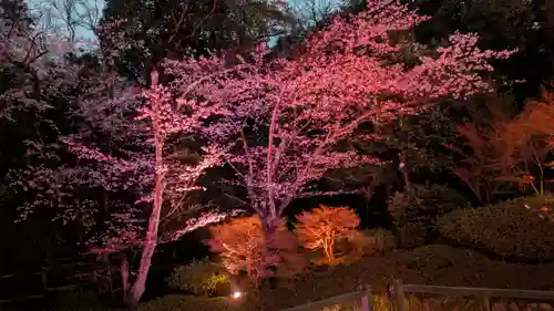 知恩院(京都府)