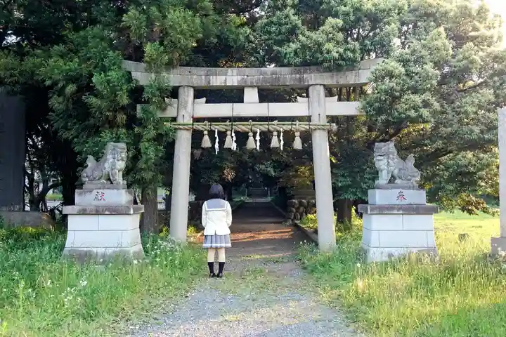 三ケ尻八幡神社の鳥居