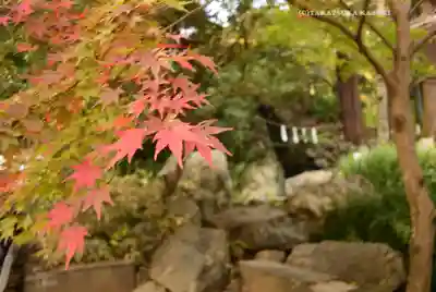 高尾山薬王院(東京都)