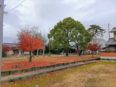 梁川八幡社（越津町）の自然