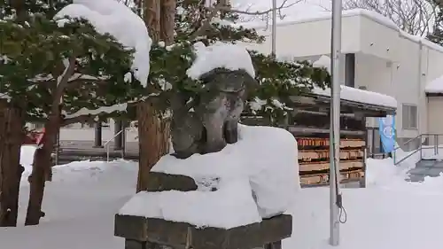 錦山天満宮の狛犬