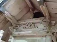 白山神社(岐阜県)