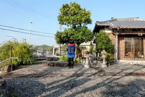 地福寺の仏像