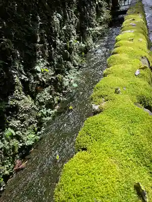日光二荒山神社(栃木県)