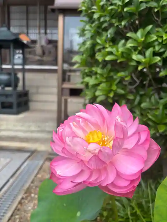 素盞嗚神社(兵庫県)