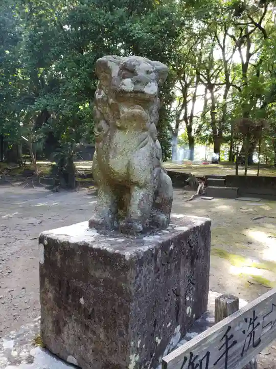 豊玉姫神社の狛犬