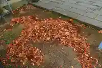 神炊館神社 ⁂奥州須賀川総鎮守⁂の芸術
