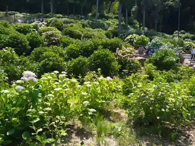 千光寺(福岡県)